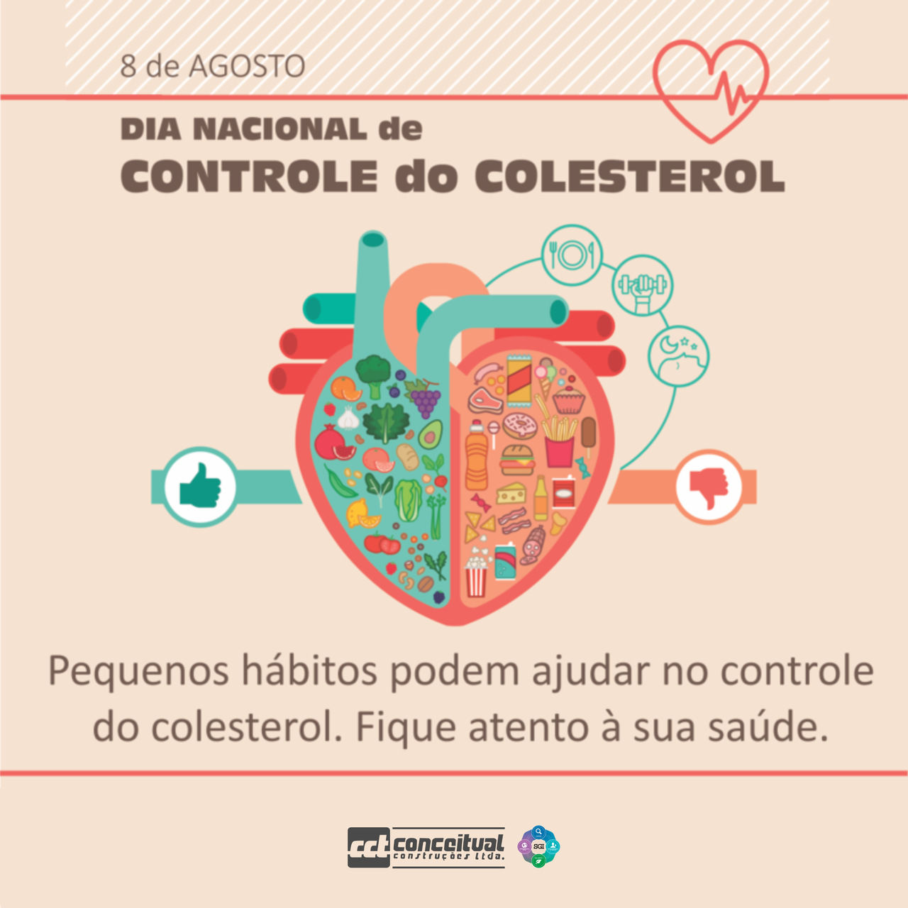 colesterol 1